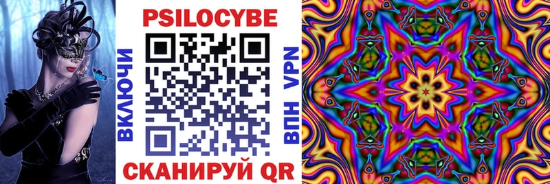 купить закладку  даркнет какой сайт  Галлюциногенные грибы Psilocybe  Кувандык  гидра как зайти 